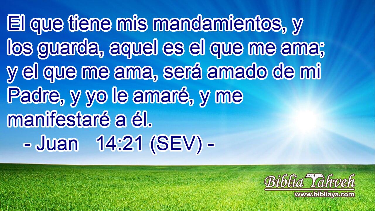 El que tiene mis mandamientos, y los guarda, aquel es el que me ama; y el que me ama, será amado de mi Padre, y yo le amaré, y me manifestaré a él.