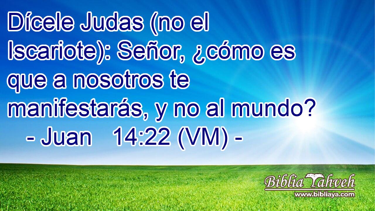  Dícele Judas (no el Iscariote): Señor, ¿cómo es que a nosotros te manifestarás, y no al mundo? 