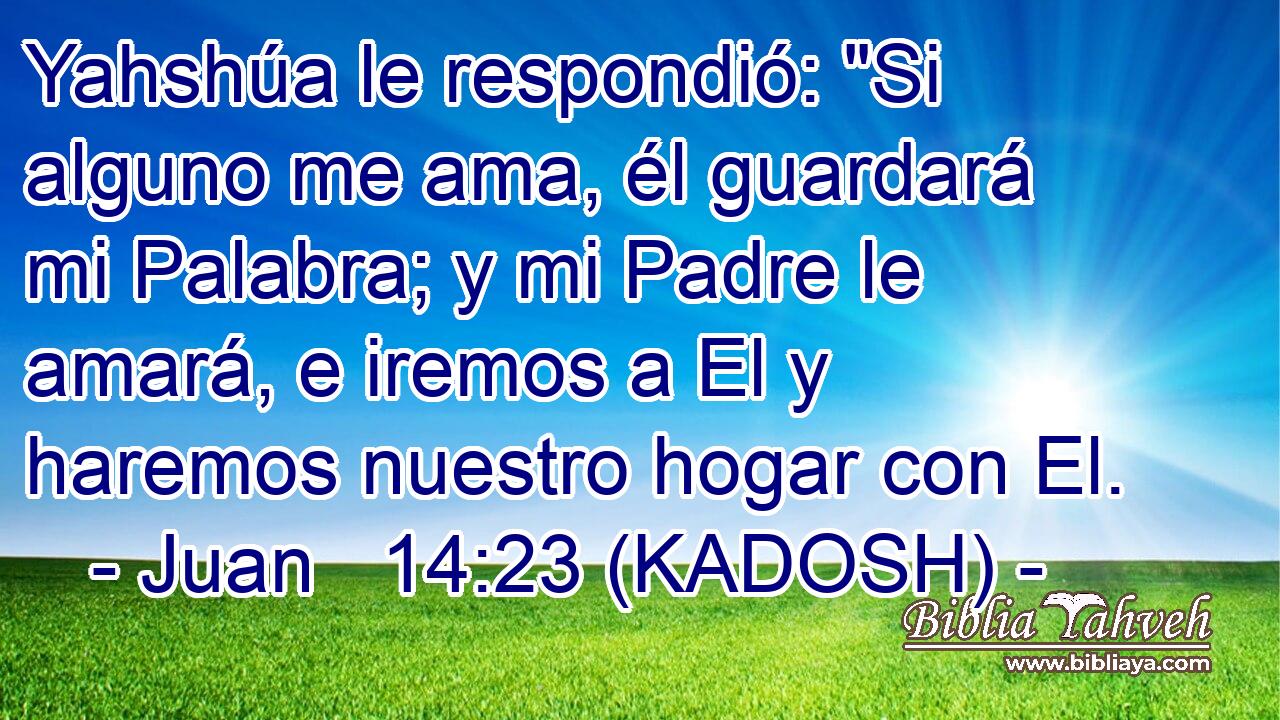  Yahshúa le respondió: 