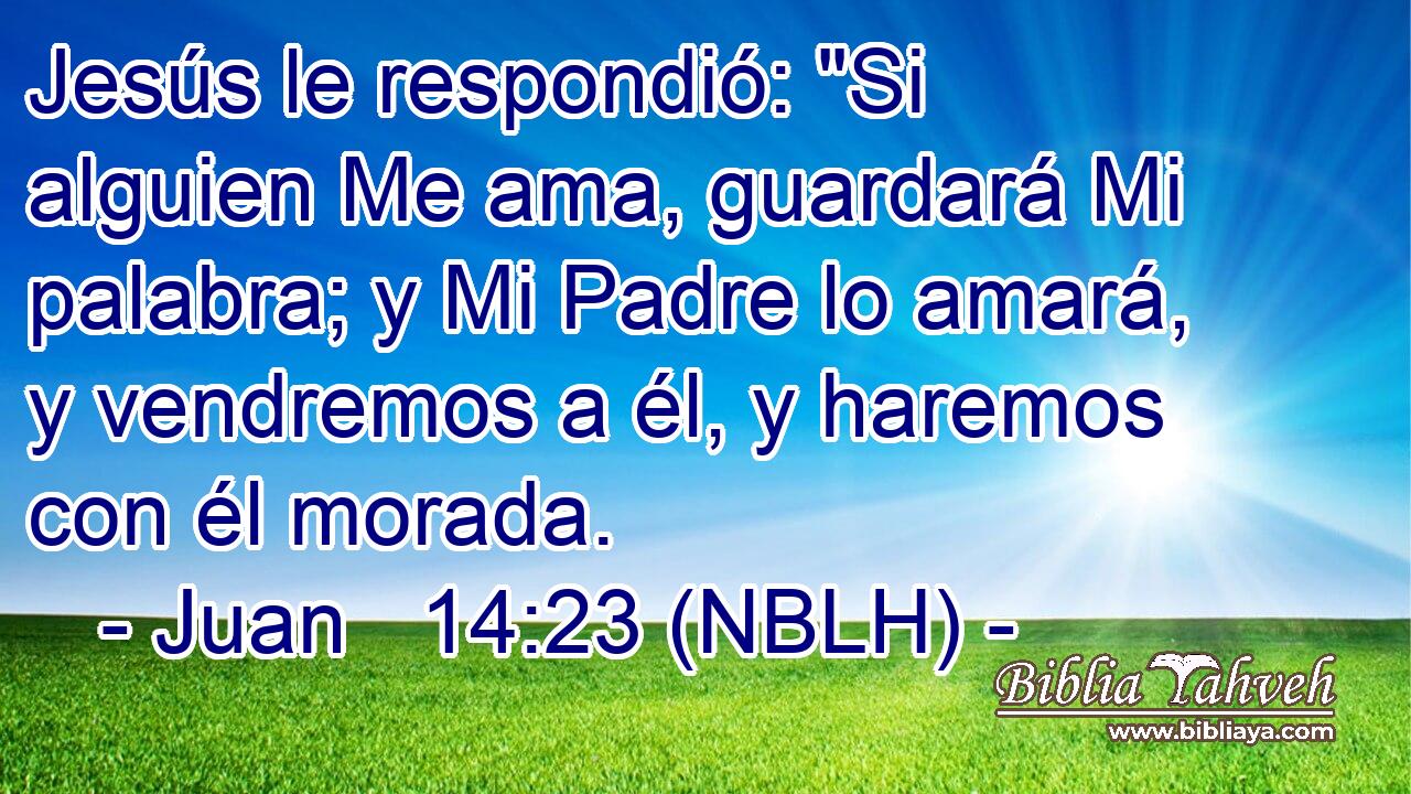  Jesús le respondió: 