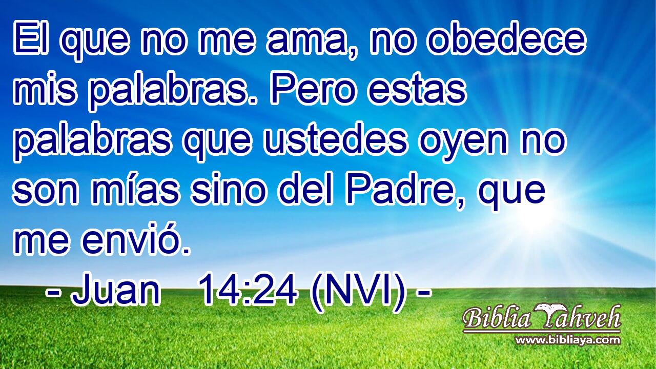  El que no me ama, no obedece mis palabras. Pero estas palabras que ustedes oyen no son mías sino del Padre, que me envió. 