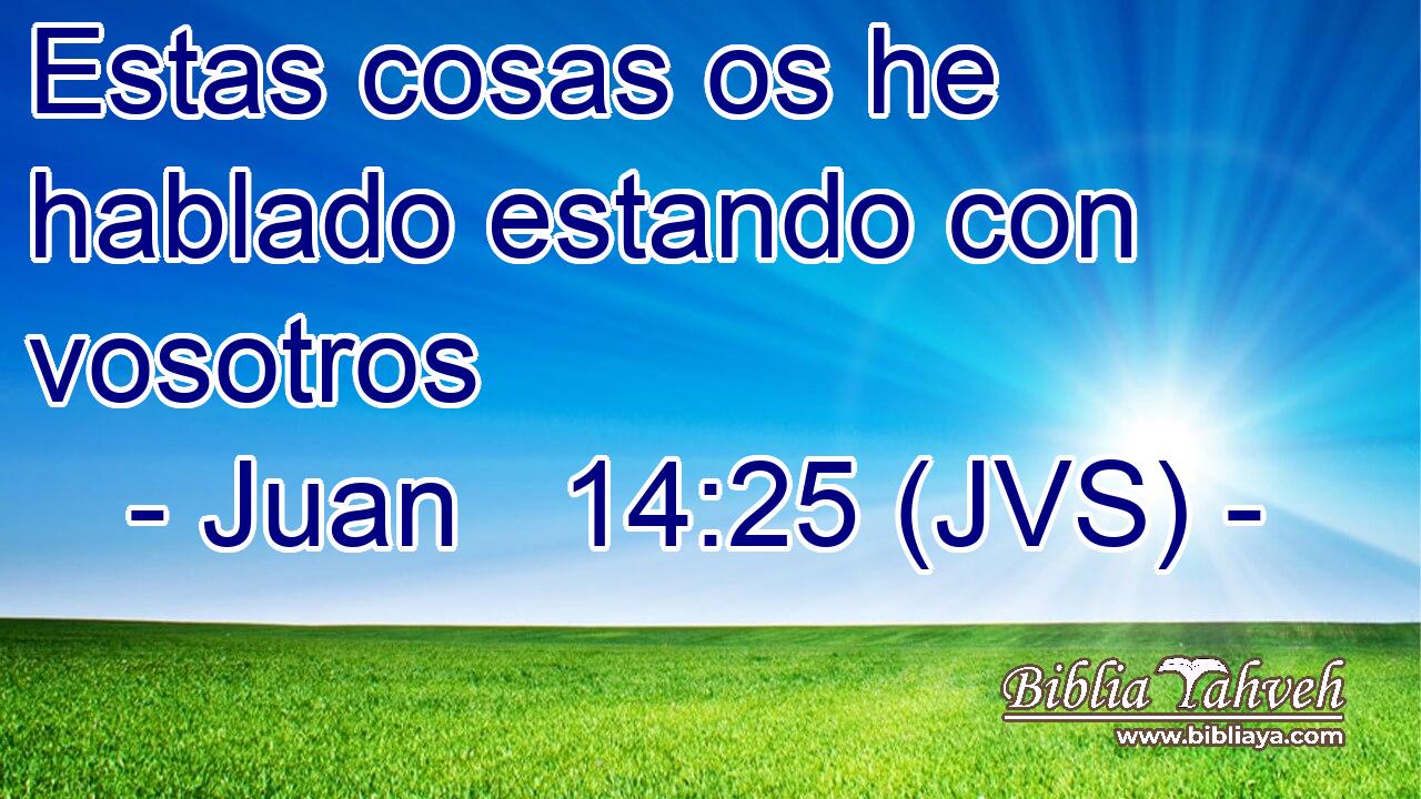 Estas cosas os he hablado estando con vosotros