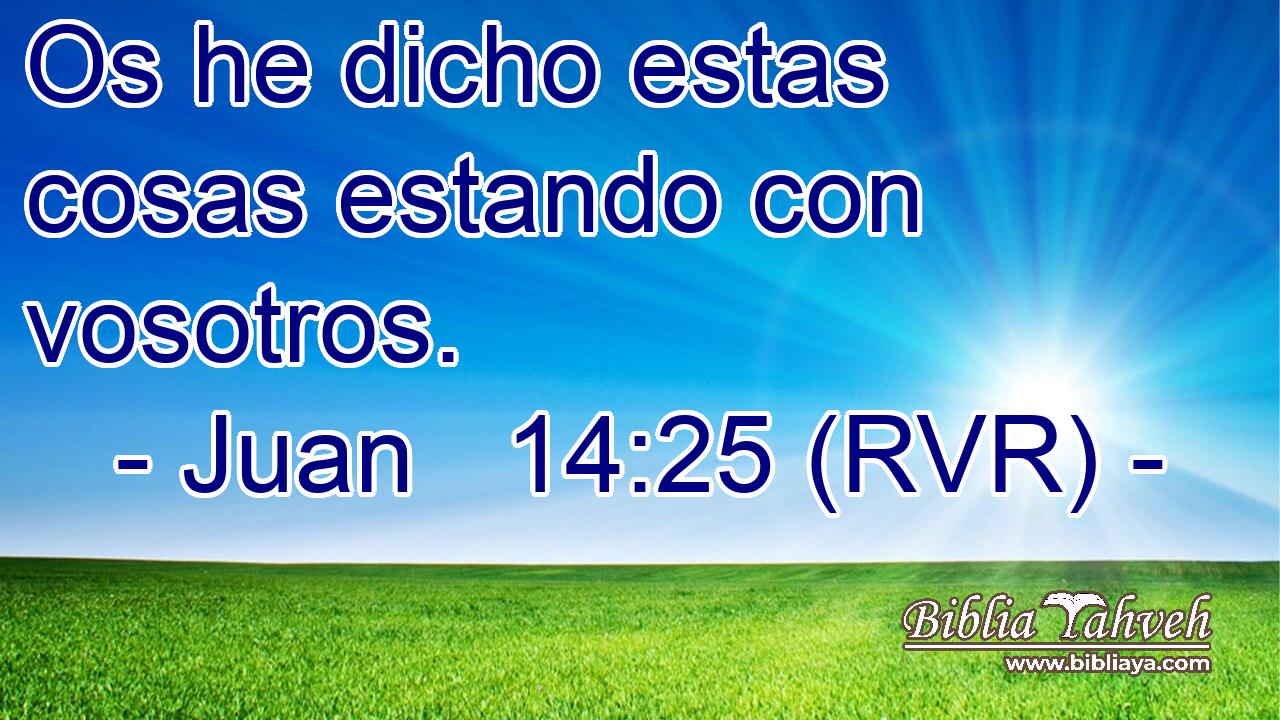 Os he dicho estas cosas estando con vosotros.