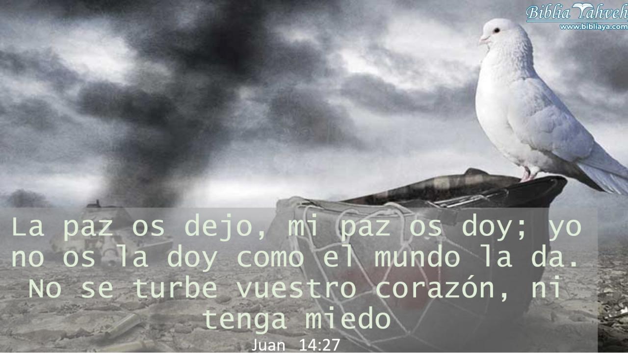 »Les dejo un regalo: paz en la mente y en el corazón. Y la paz que yo doy es un regalo que el mundo no puede dar. Así que no se angustien ni tengan miedo.