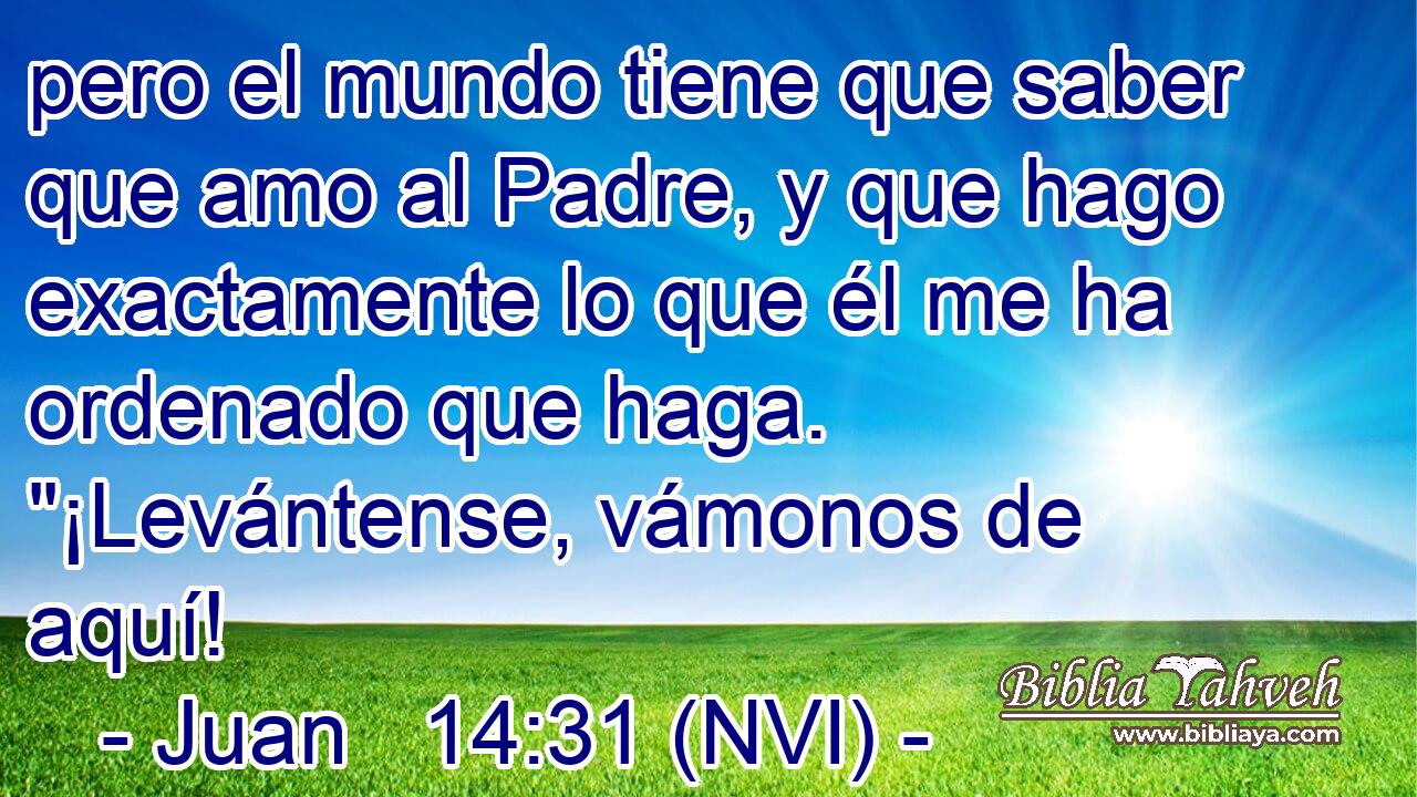  pero el mundo tiene que saber que amo al Padre, y que hago exactamente lo que él me ha ordenado que haga. 