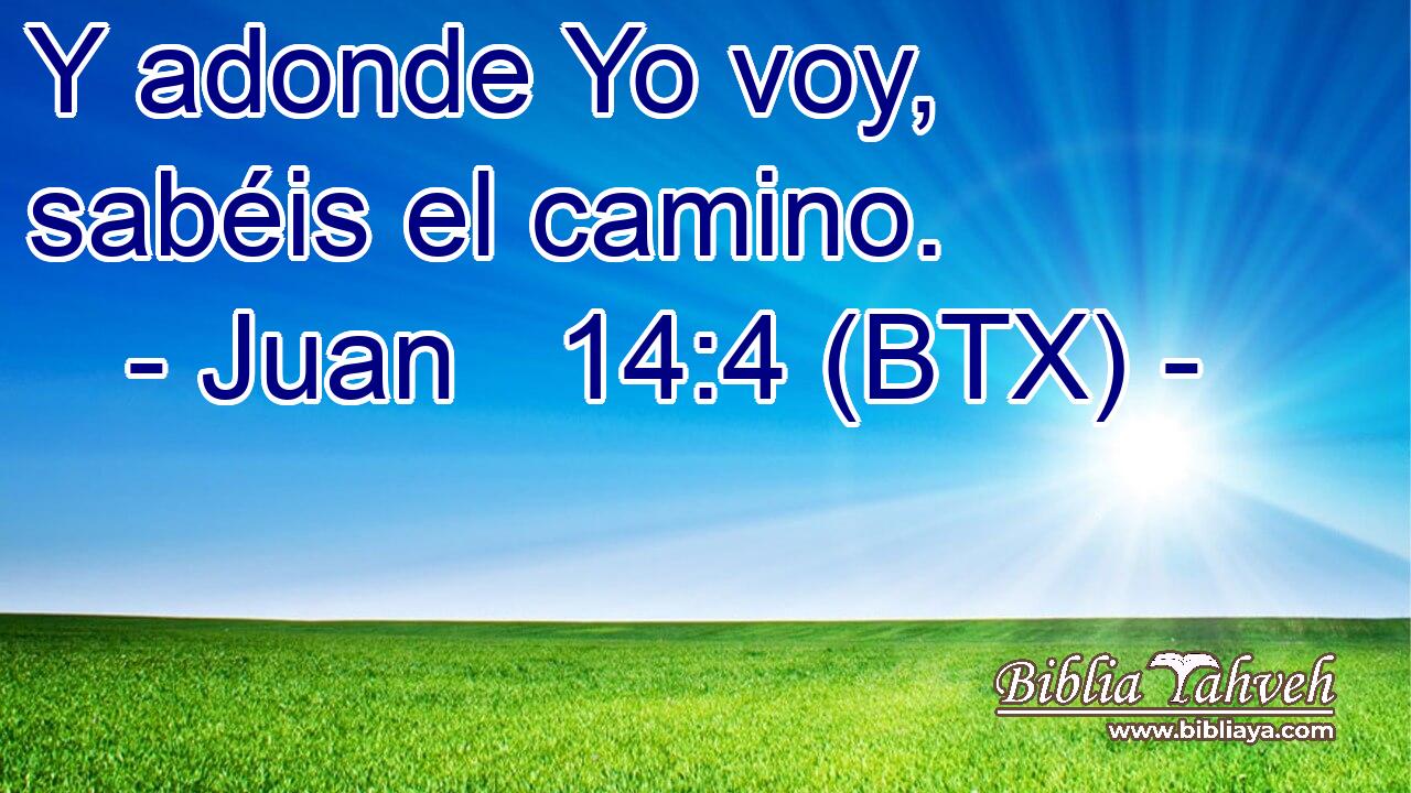 Y adonde Yo voy, sabéis el camino.