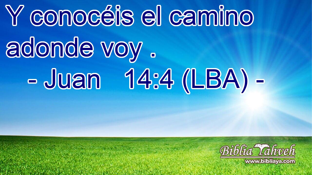 Y conocéis el camino adonde voy .