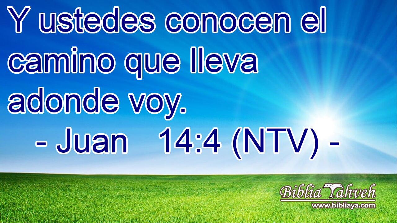 Y ustedes conocen el camino que lleva adonde voy.