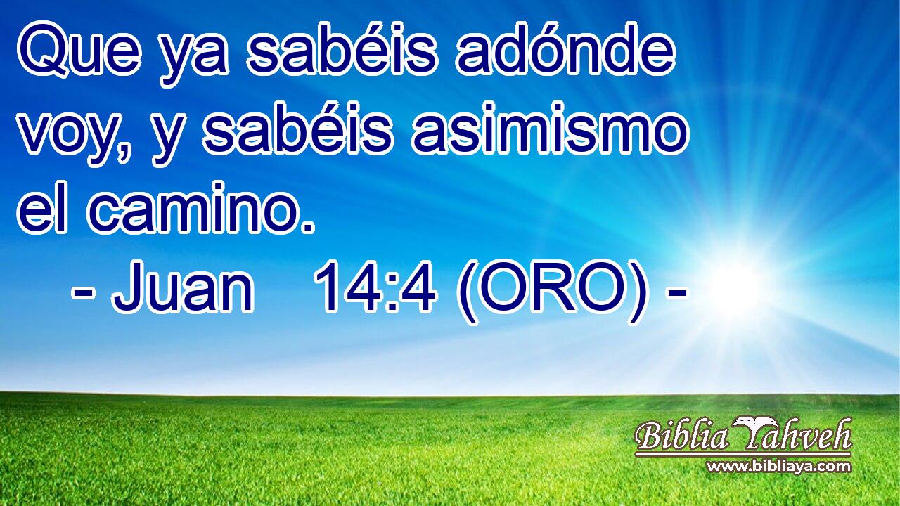  Que ya sabéis adónde voy, y sabéis asimismo el camino. 
