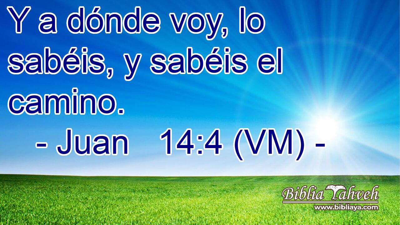  Y a dónde voy, lo sabéis, y sabéis el camino. 