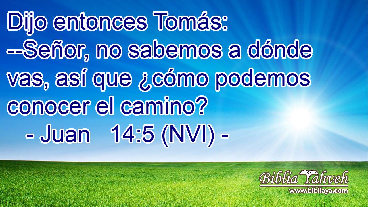  Dijo entonces Tomás: --Señor, no sabemos a dónde vas, así que ¿cómo podemos conocer el camino? 