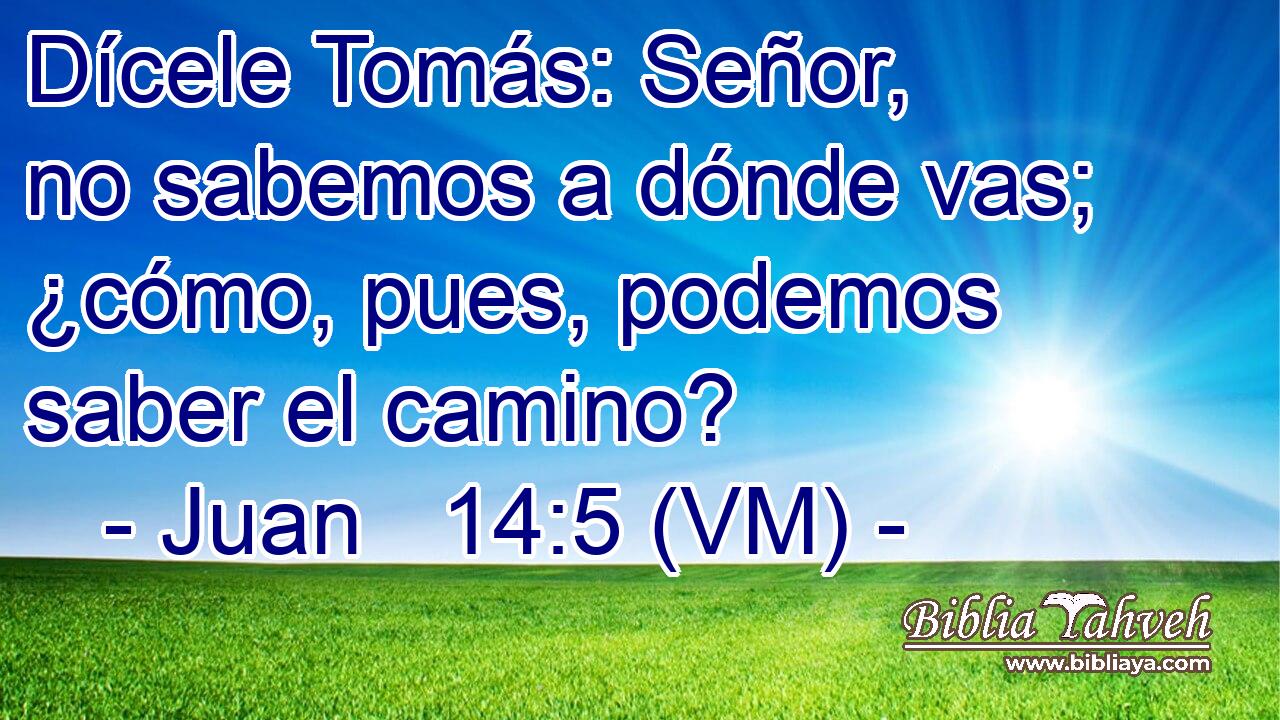  Dícele Tomás: Señor, no sabemos a dónde vas; ¿cómo, pues, podemos saber el camino? 