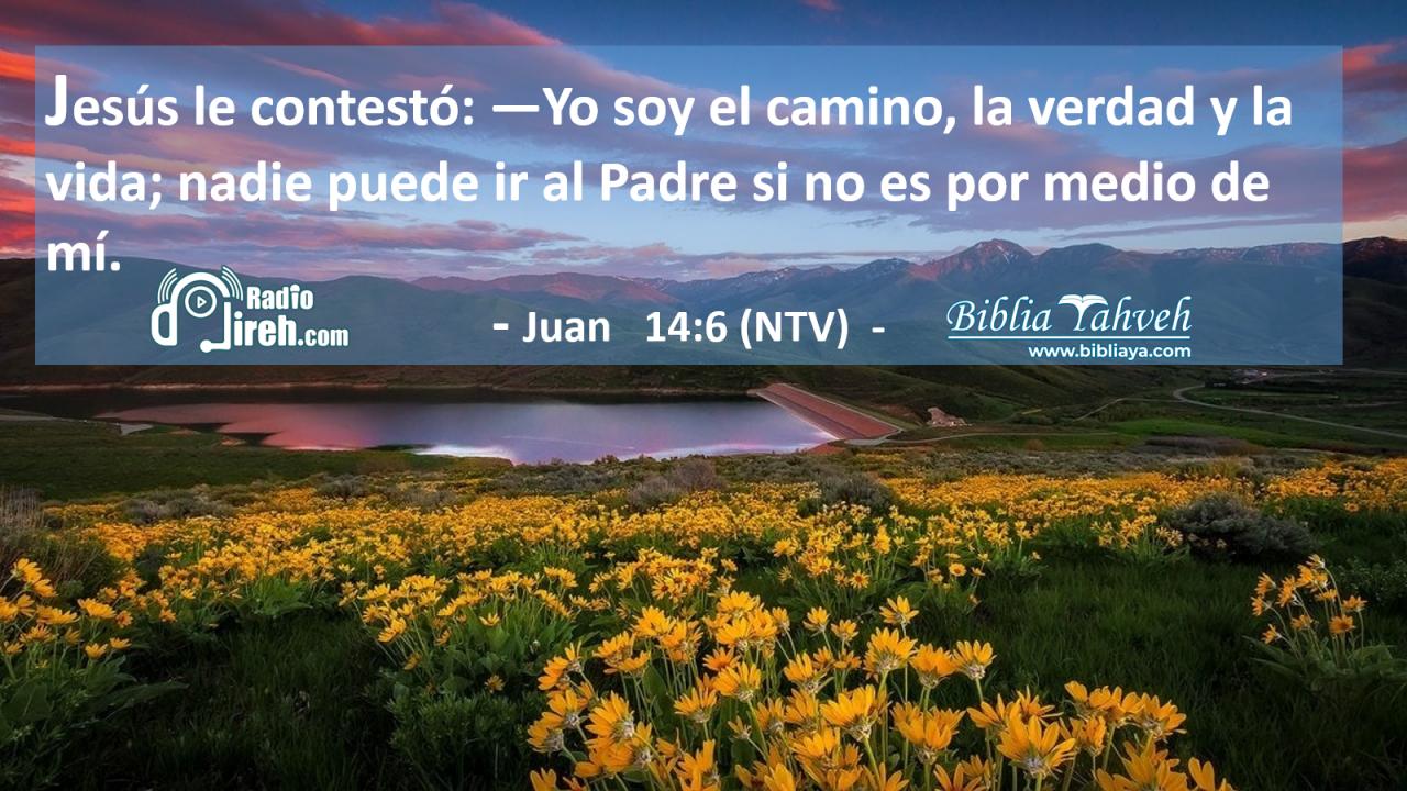 Jesús le contestó: —Yo soy el camino, la verdad y la vida; nadie puede ir al Padre si no es por medio de mí.