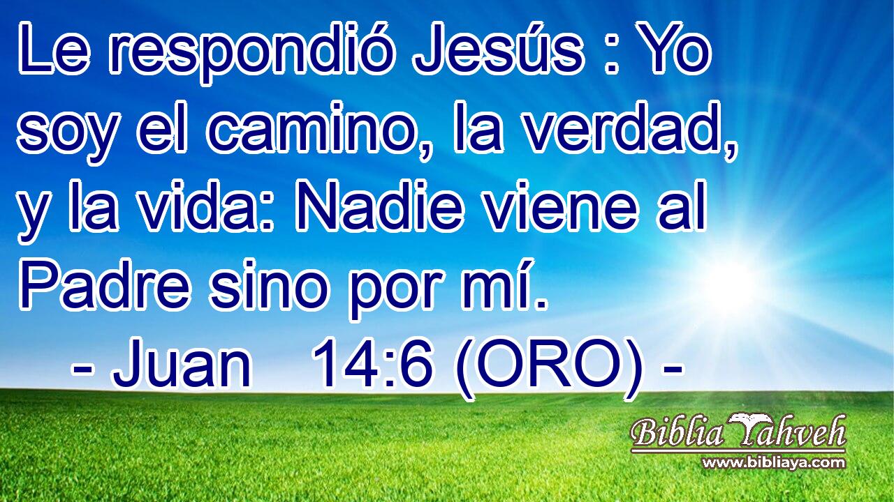  Le respondió Jesús : Yo soy el camino, la verdad, y la vida: Nadie viene al Padre sino por mí. 