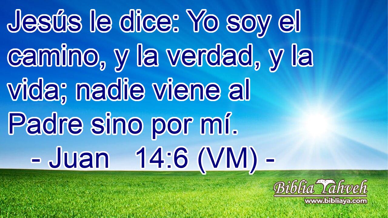  Jesús le dice: Yo soy el camino, y la verdad, y la vida; nadie viene al Padre sino por mí. 