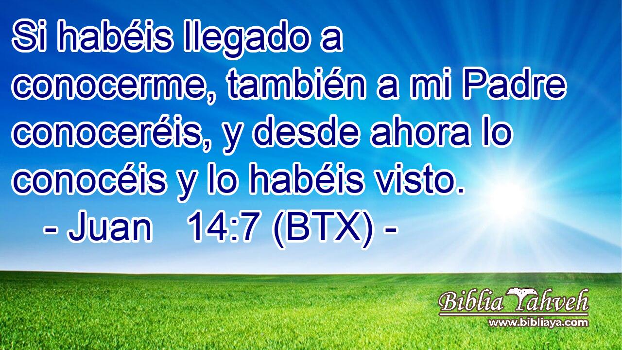 Si habéis llegado a conocerme, también a mi Padre conoceréis, y desde ahora lo conocéis y lo habéis visto.