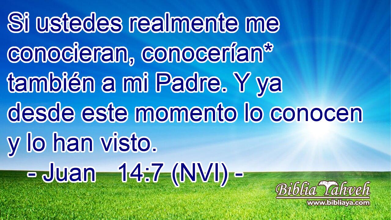  Si ustedes realmente me conocieran, conocerían* también a mi Padre. Y ya desde este momento lo conocen y lo han visto. 