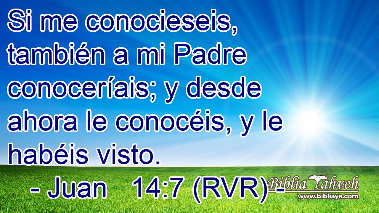 Si me conocieseis, también a mi Padre conoceríais; y desde ahora le conocéis, y le habéis visto.