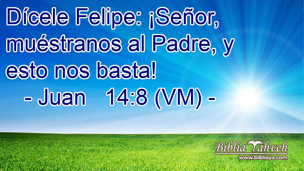  Dícele Felipe: ¡Señor, muéstranos al Padre, y esto nos basta! 