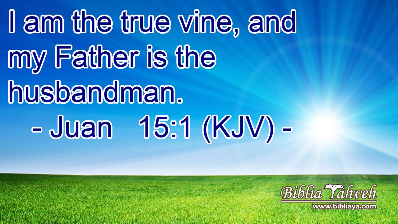I am the true vine, and my Father is the husbandman.