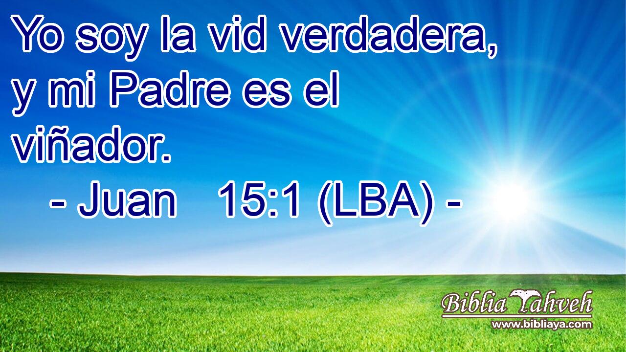 Juan 15:1 (LBA) - Yo soy la vid verdadera, y mi Padre es el viñ...