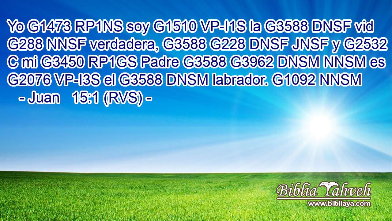 Yo G1473 RP1NS soy G1510 VP-I1S la G3588 DNSF vid G288 NNSF verdadera, G3588 G228 DNSF JNSF y G2532 C mi G3450 RP1GS Padre G3588 G3962 DNSM NNSM es G2076 VP-I3S el G3588 DNSM labrador. G1092 NNSM 