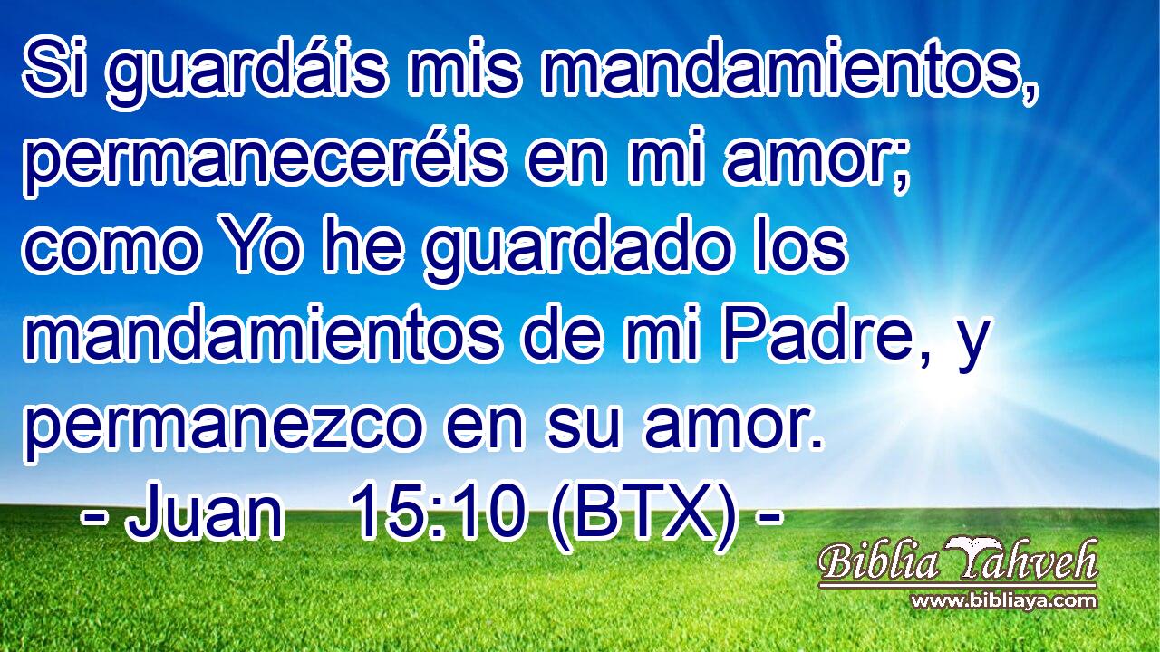 Si guardáis mis mandamientos, permaneceréis en mi amor; como Yo he guardado los mandamientos de mi Padre, y permanezco en su amor.