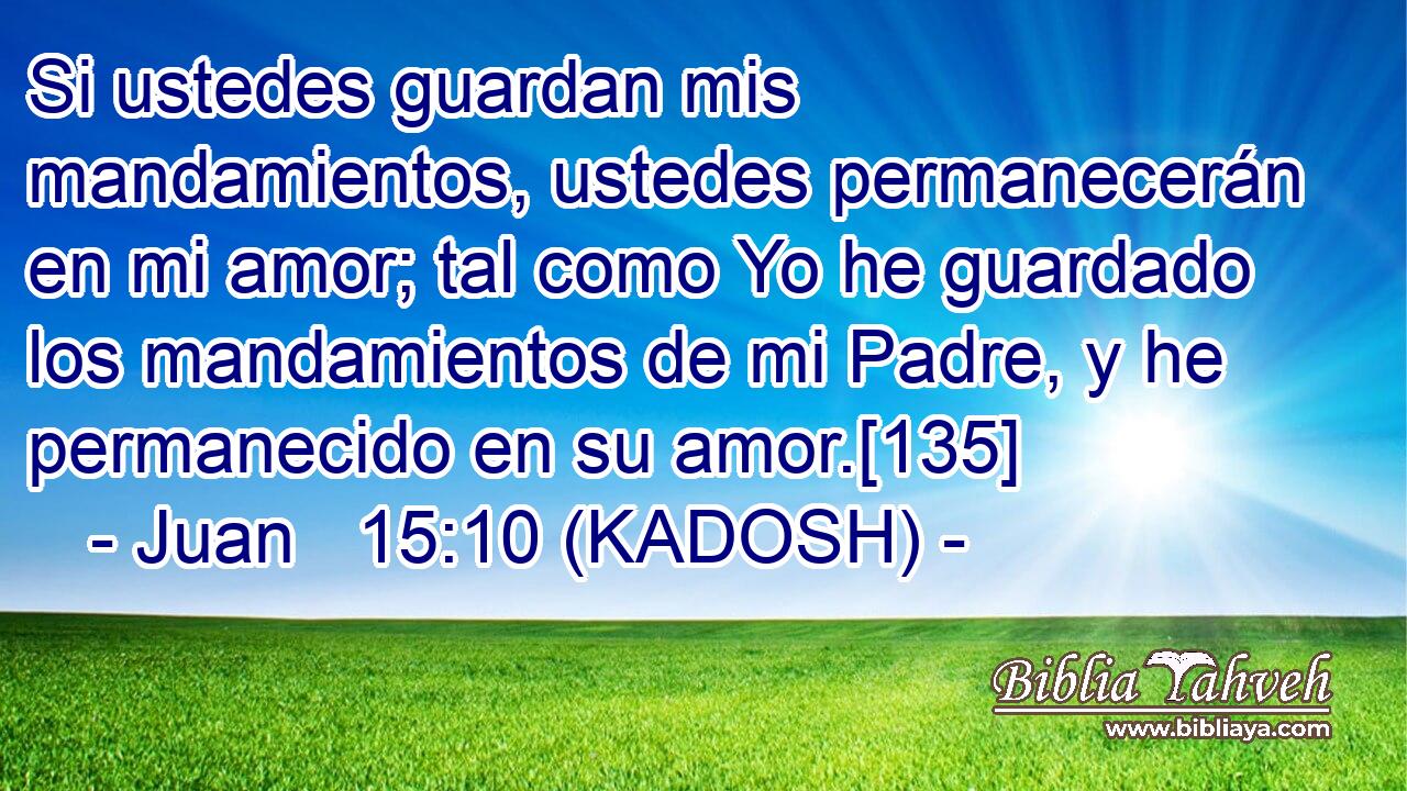  Si ustedes guardan mis mandamientos, ustedes permanecerán en mi amor; tal como Yo he guardado los mandamientos de mi Padre, y he permanecido en su amor.[135] 