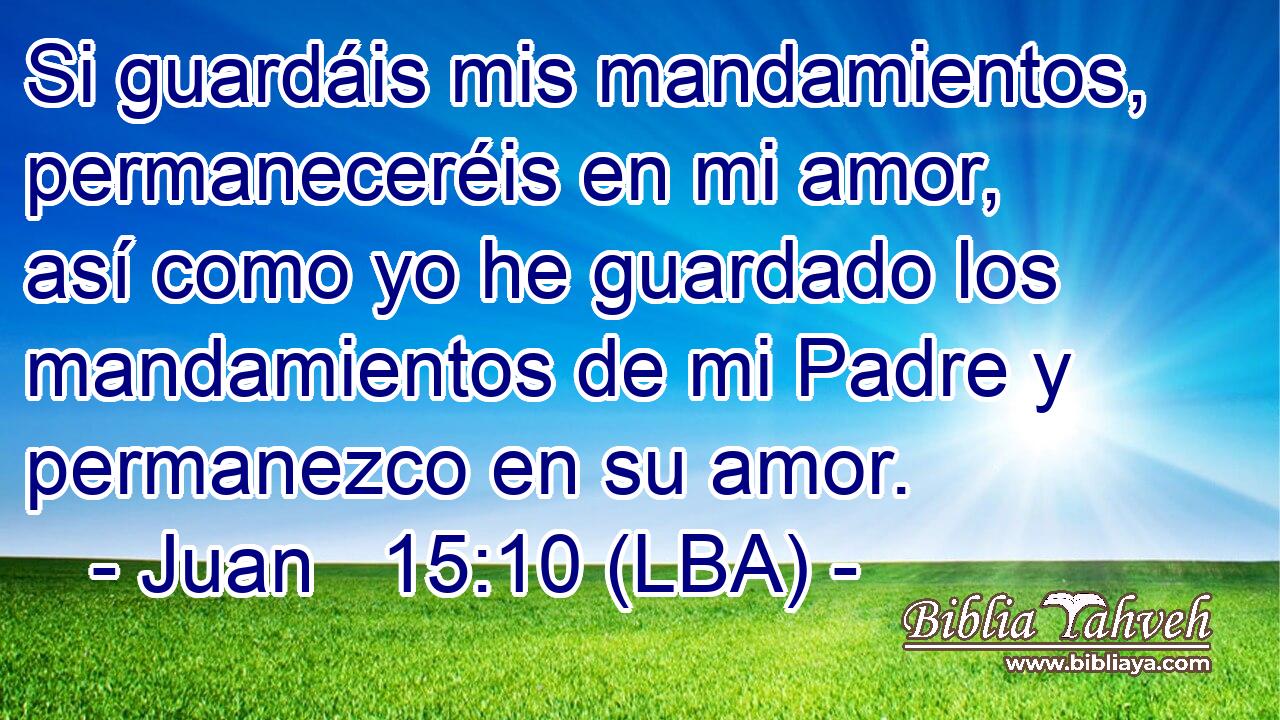 Si guardáis mis mandamientos, permaneceréis en mi amor, así como yo he guardado los mandamientos de mi Padre y permanezco en su amor.