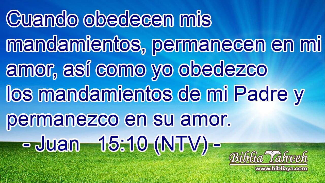 Cuando obedecen mis mandamientos, permanecen en mi amor, así como yo obedezco los mandamientos de mi Padre y permanezco en su amor.