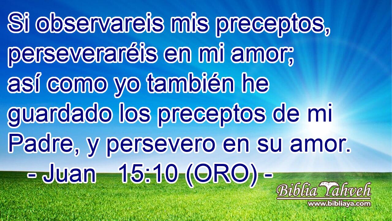  Si observareis mis preceptos, perseveraréis en mi amor; así como yo también he guardado los preceptos de mi Padre, y persevero en su amor. 