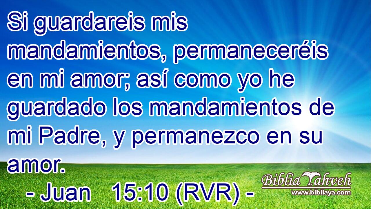 Si guardareis mis mandamientos, permaneceréis en mi amor; así como yo he guardado los mandamientos de mi Padre, y permanezco en su amor.