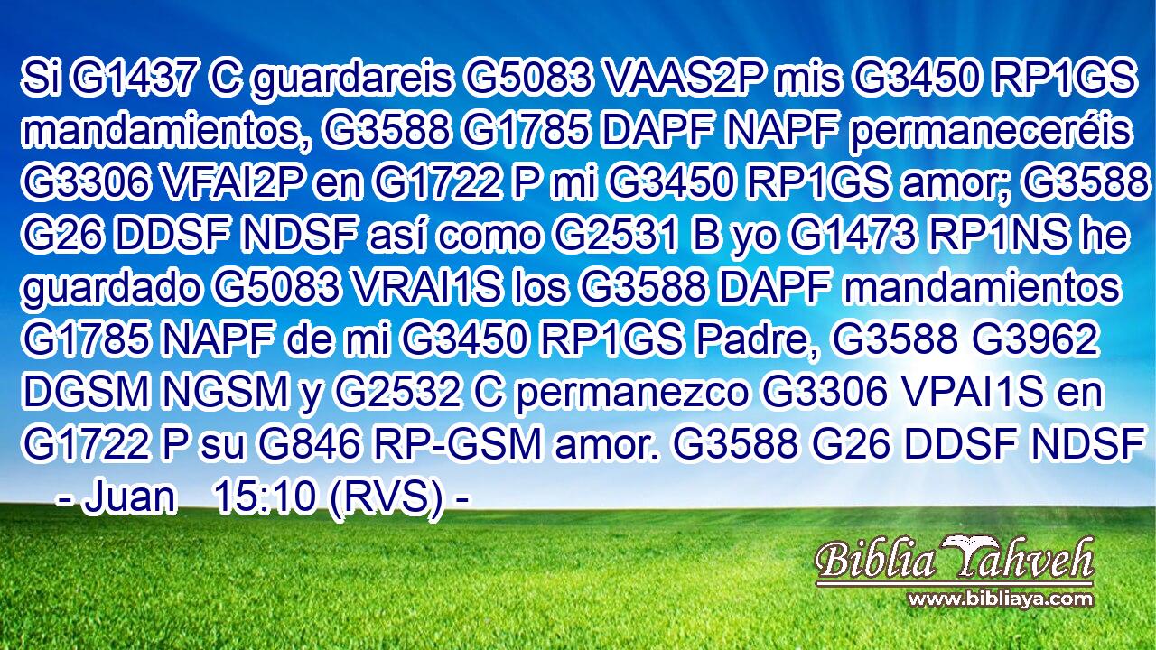 Si G1437 C guardareis G5083 VAAS2P mis G3450 RP1GS mandamientos, G3588 G1785 DAPF NAPF permaneceréis G3306 VFAI2P en G1722 P mi G3450 RP1GS amor; G3588 G26 DDSF NDSF así como G2531 B yo G1473 RP1NS he guardado G5083 VRAI1S los G3588 DAPF mandamientos G1785 NAPF de mi G3450 RP1GS Padre, G3588 G3962 DGSM NGSM y G2532 C permanezco G3306 VPAI1S en G1722 P su G846 RP-GSM amor. G3588 G26 DDSF NDSF 