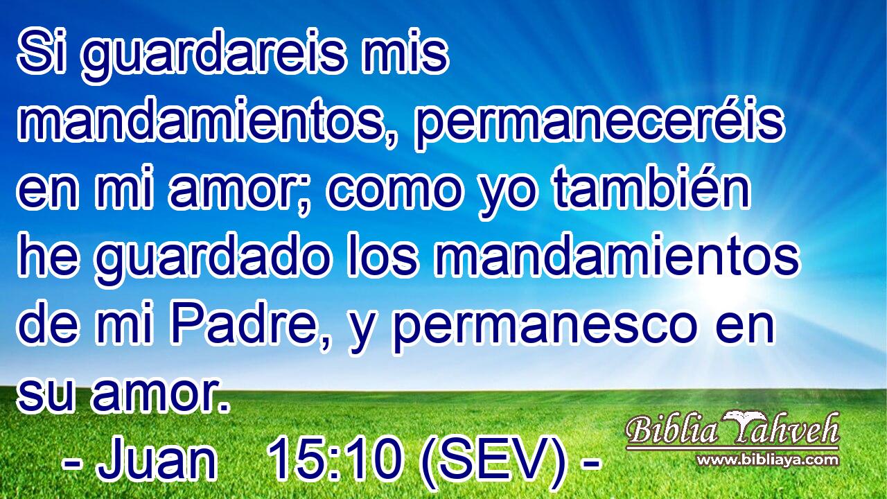 Si guardareis mis mandamientos, permaneceréis en mi amor; como yo también he guardado los mandamientos de mi Padre, y permanesco en su amor.