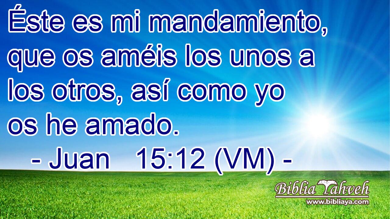  Éste es mi mandamiento, que os améis los unos a los otros, así como yo os he amado. 