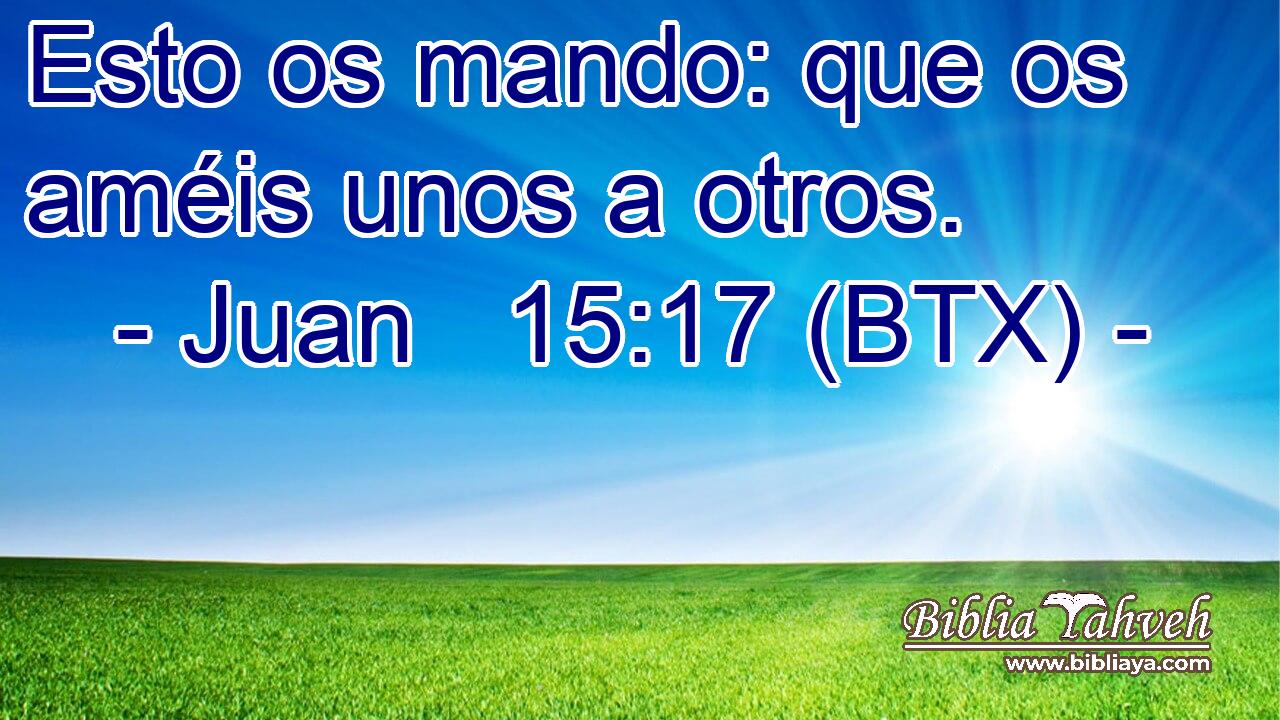 Esto os mando: que os améis unos a otros.