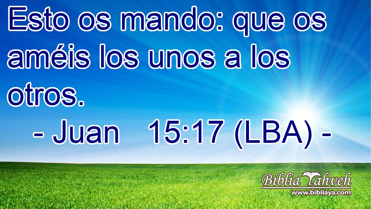 Esto os mando: que os améis los unos a los otros.