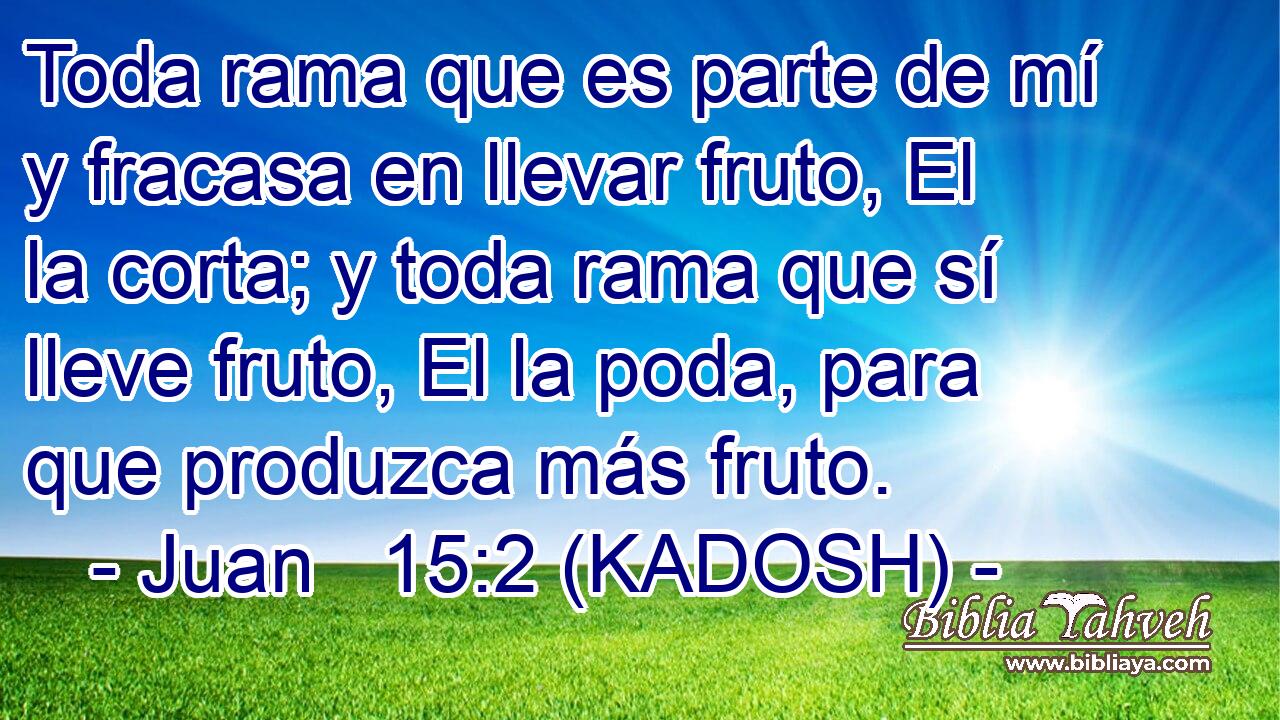  Toda rama que es parte de mí y fracasa en llevar fruto, El la corta; y toda rama que sí lleve fruto, El la poda, para que produzca más fruto. 