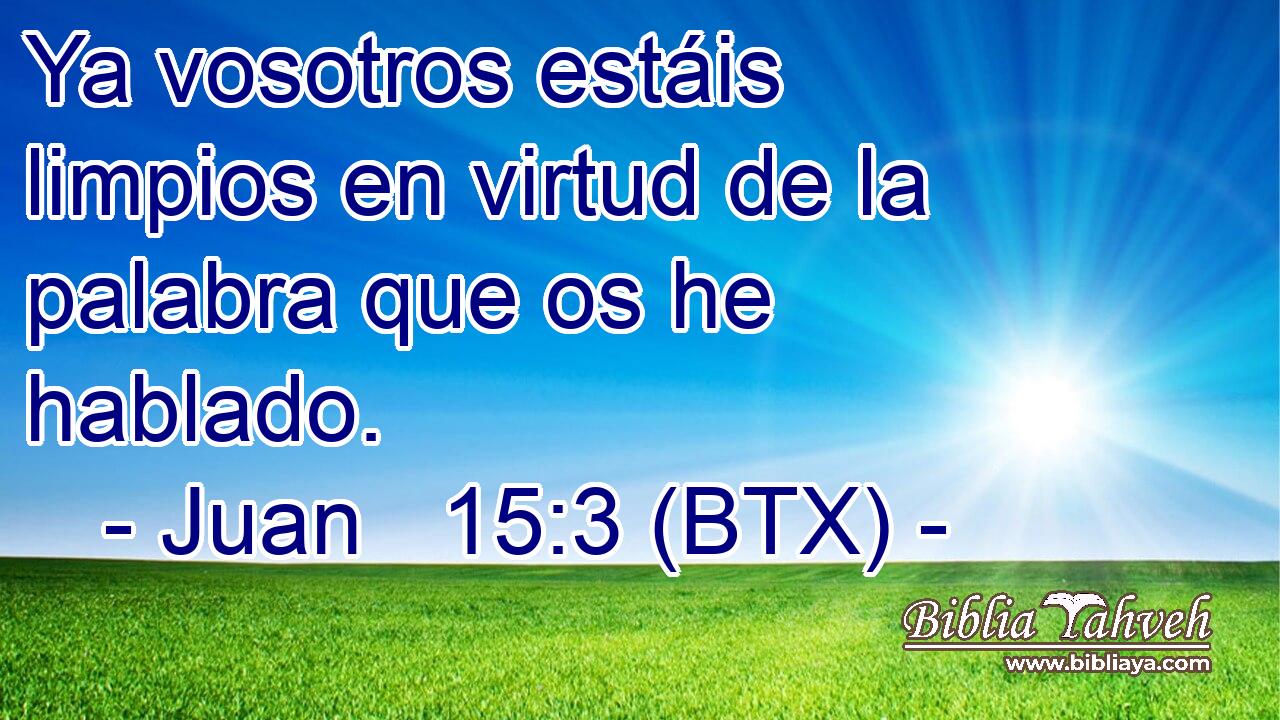 Ya vosotros estáis limpios en virtud de la palabra que os he hablado.