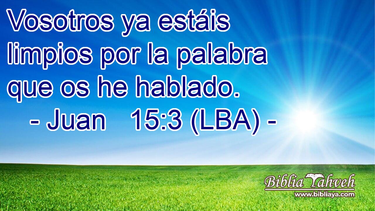 Vosotros ya estáis limpios por la palabra que os he hablado.