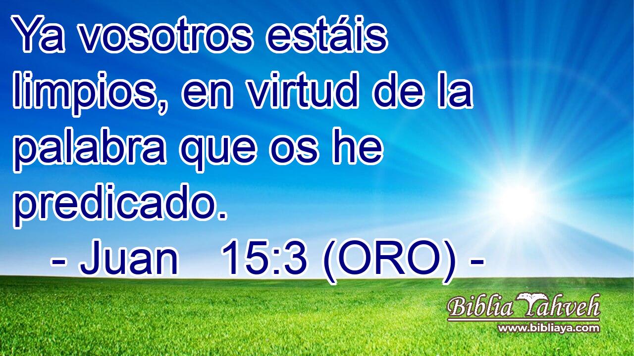  Ya vosotros estáis limpios, en virtud de la palabra que os he predicado. 