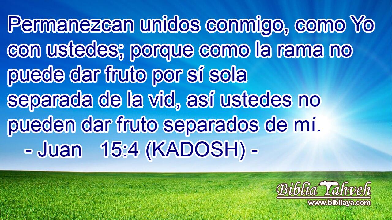 Permanezcan unidos conmigo, como Yo con ustedes; porque como la rama no puede dar fruto por sí sola separada de la vid, así ustedes no pueden dar fruto separados de mí. 