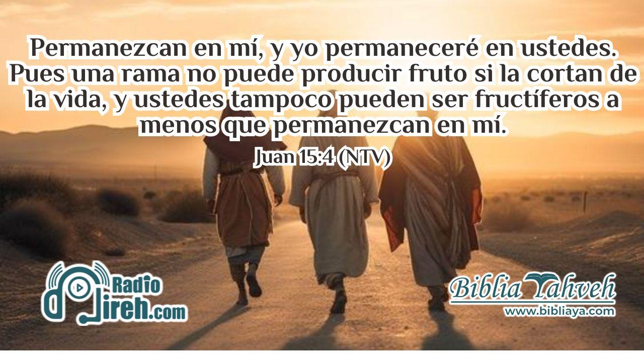 Permanezcan en mí, y yo permaneceré en ustedes. Pues una rama no puede producir fruto si la cortan de la vid, y ustedes tampoco pueden ser fructíferos a menos que permanezcan en mí.