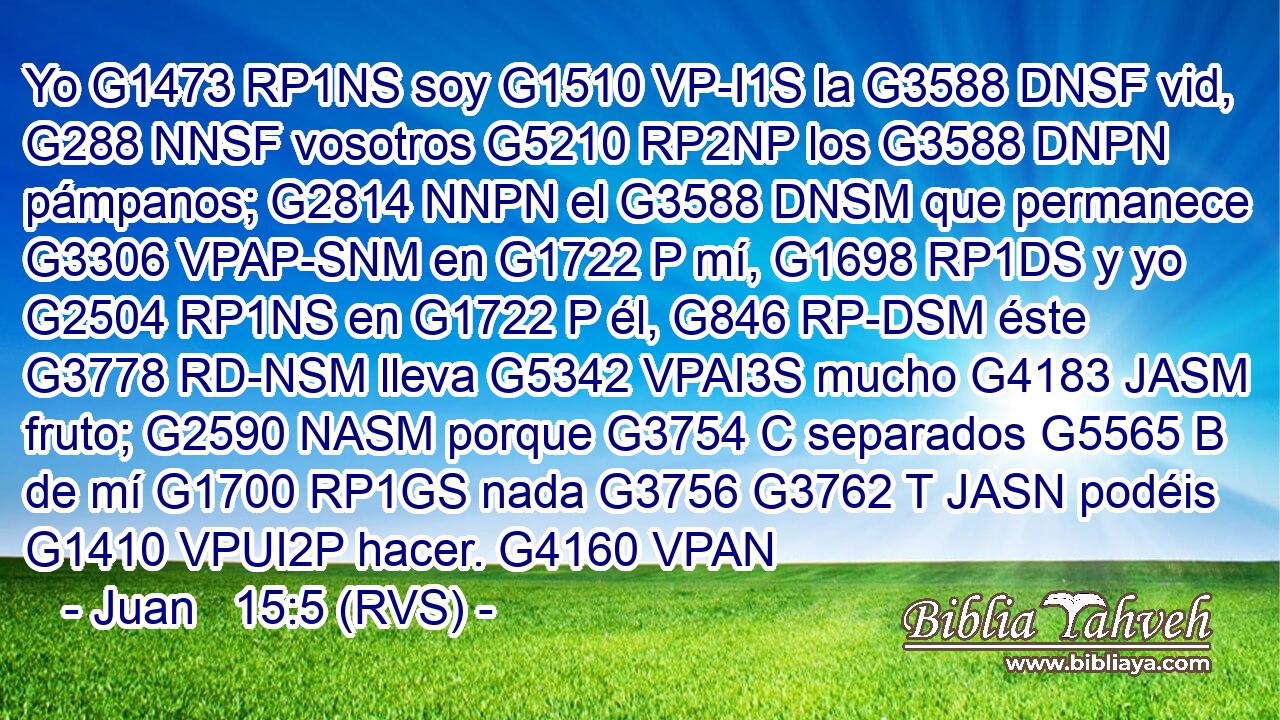 Yo G1473 RP1NS soy G1510 VP-I1S la G3588 DNSF vid, G288 NNSF vosotros G5210 RP2NP los G3588 DNPN pámpanos; G2814 NNPN el G3588 DNSM que permanece G3306 VPAP-SNM en G1722 P mí, G1698 RP1DS y yo G2504 RP1NS en G1722 P él, G846 RP-DSM éste G3778 RD-NSM lleva G5342 VPAI3S mucho G4183 JASM fruto; G2590 NASM porque G3754 C separados G5565 B de mí G1700 RP1GS nada G3756 G3762 T JASN podéis G1410 VPUI2P hacer. G4160 VPAN 