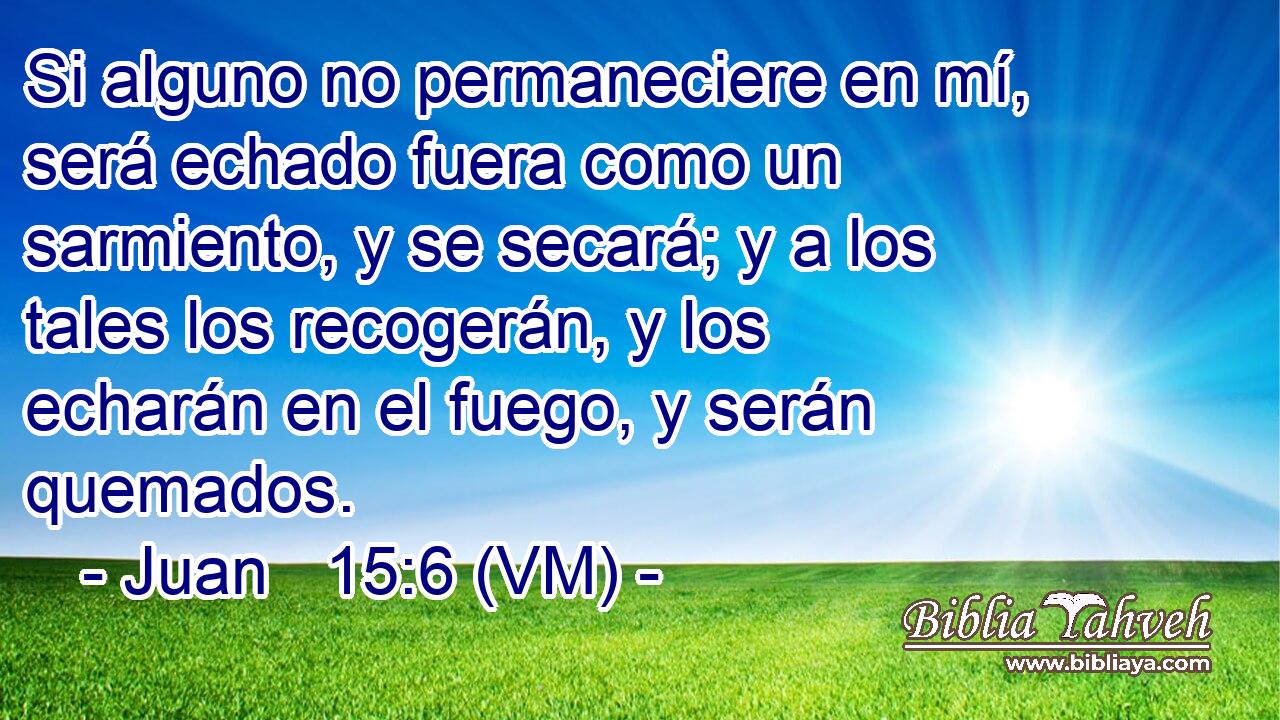  Si alguno no permaneciere en mí, será echado fuera como un sarmiento, y se secará; y a los tales los recogerán, y los echarán en el fuego, y serán quemados. 
