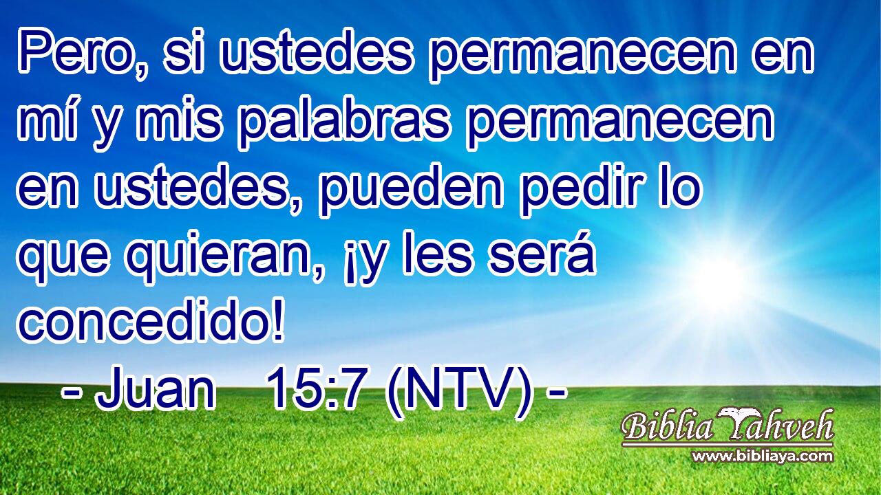 Pero, si ustedes permanecen en mí y mis palabras permanecen en ustedes, pueden pedir lo que quieran, ¡y les será concedido!