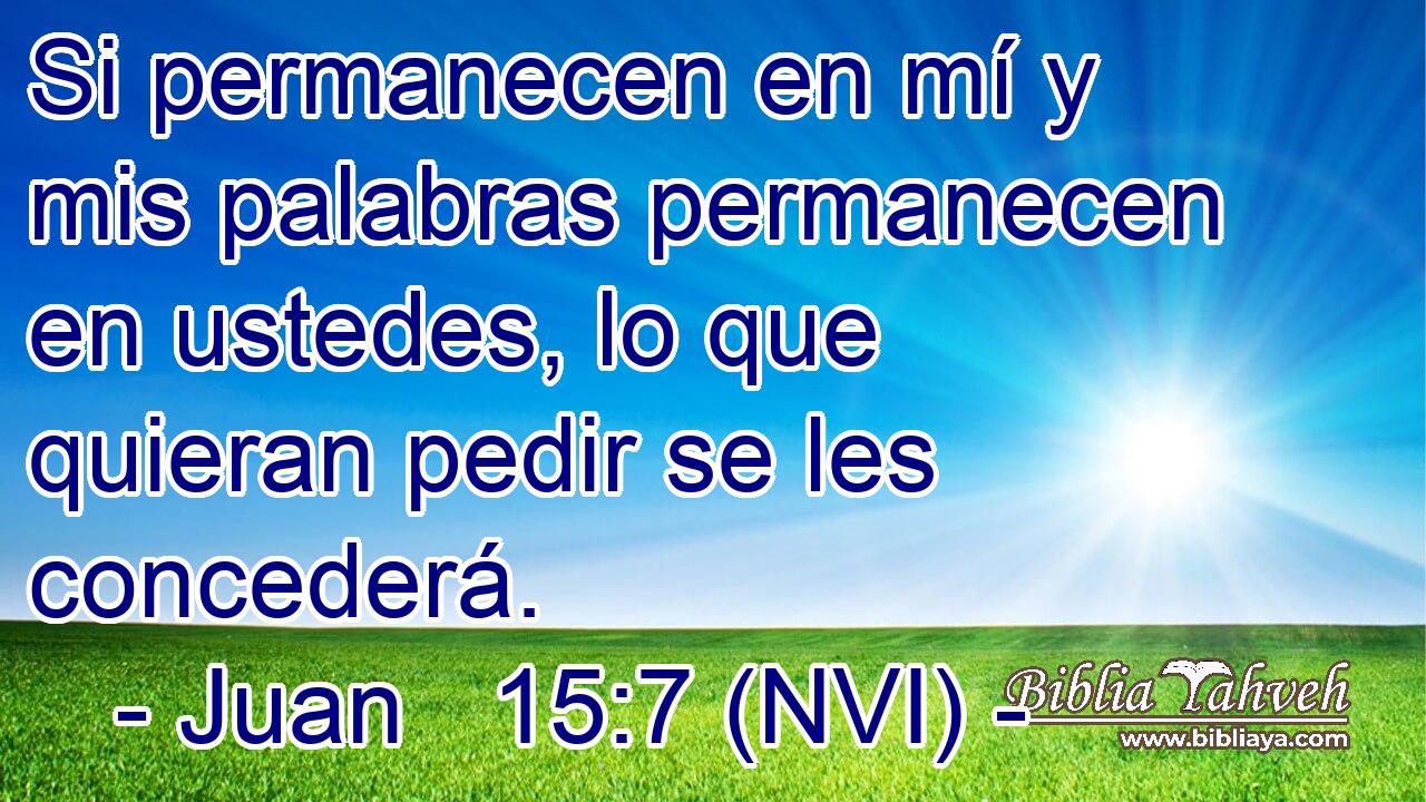  Si permanecen en mí y mis palabras permanecen en ustedes, lo que quieran pedir se les concederá. 