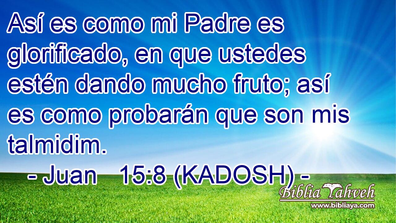 Así es como mi Padre es glorificado, en que ustedes estén dando mucho fruto; así es como probarán que son mis talmidim. 