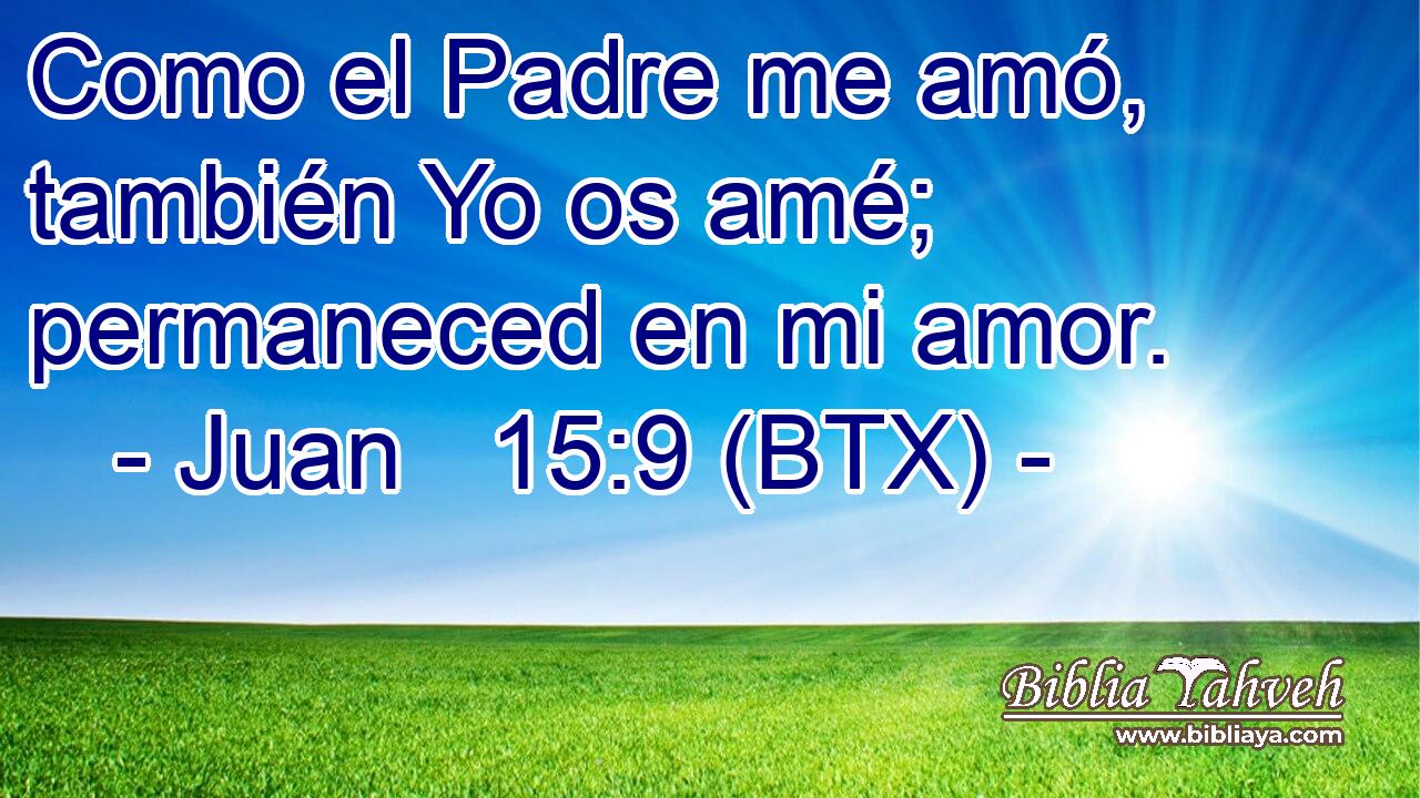 Como el Padre me amó, también Yo os amé; permaneced en mi amor.