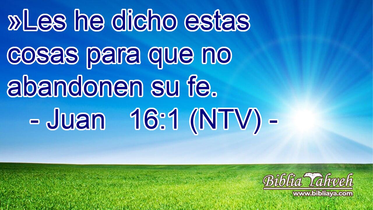 »Les he dicho estas cosas para que no abandonen su fe.